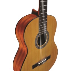 Eko Guitars - Vibra 100 Natural