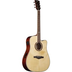 Eko Guitars - Tri D300ce