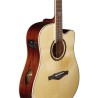 Eko Guitars - Tri D300ce