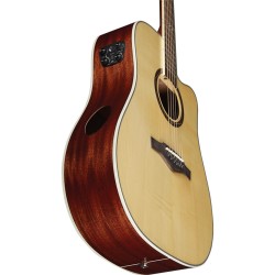 Eko Guitars - Tri D300ce