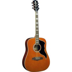 EKO GUITARS - RANGER VI VR...
