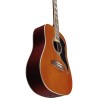 EKO GUITARS - RANGER VI VR Eq Natural Top Stained