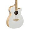Applause Chitarre elettroacustiche Jump Blank Canvas