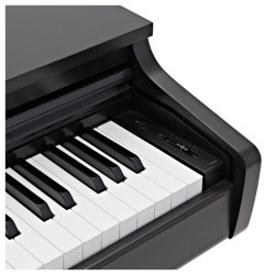 Kawai CX202