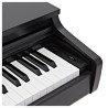 Kawai CX202