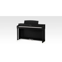 Kawai CN301